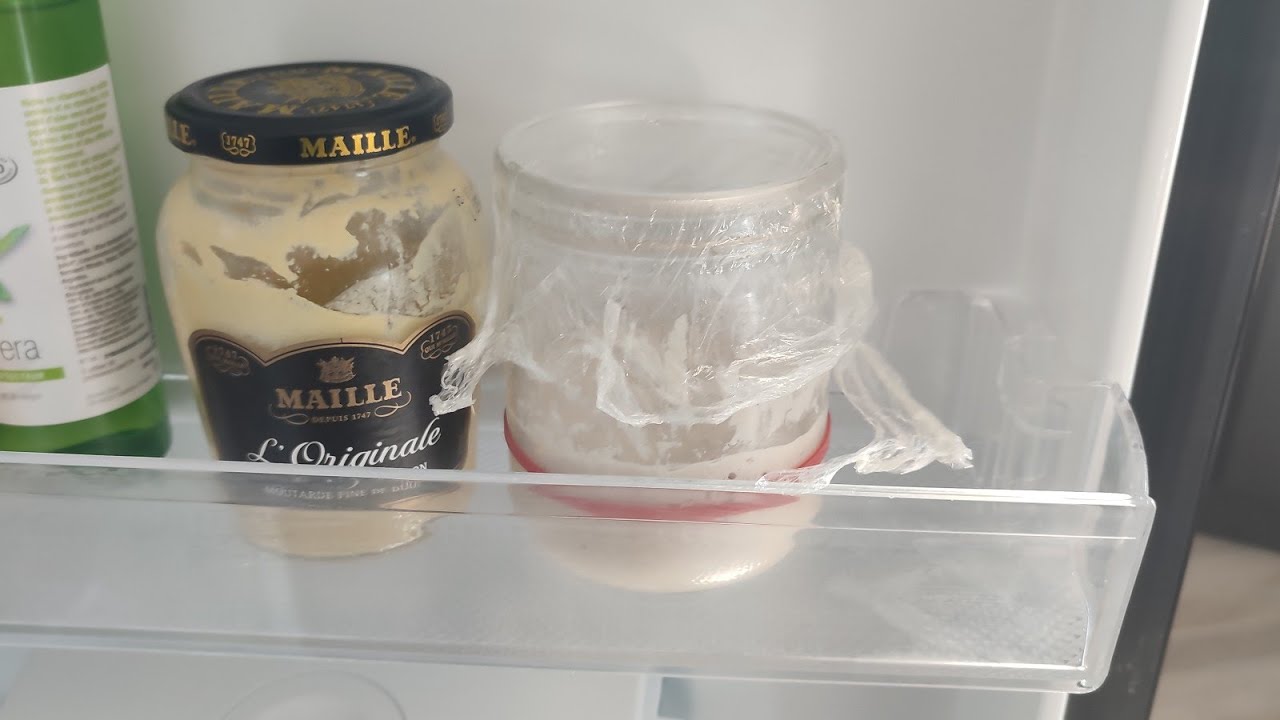 🍕 Comment GARDER son levain naturel EN VIE ❓ (100 ans voir plus) 68/365