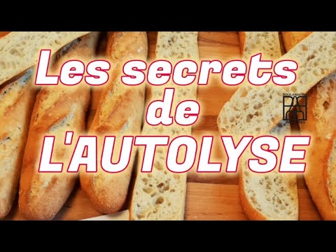 Autolyse pour le pain. Mieux comprendre  de la technique de l'autolyse en boulangerie.