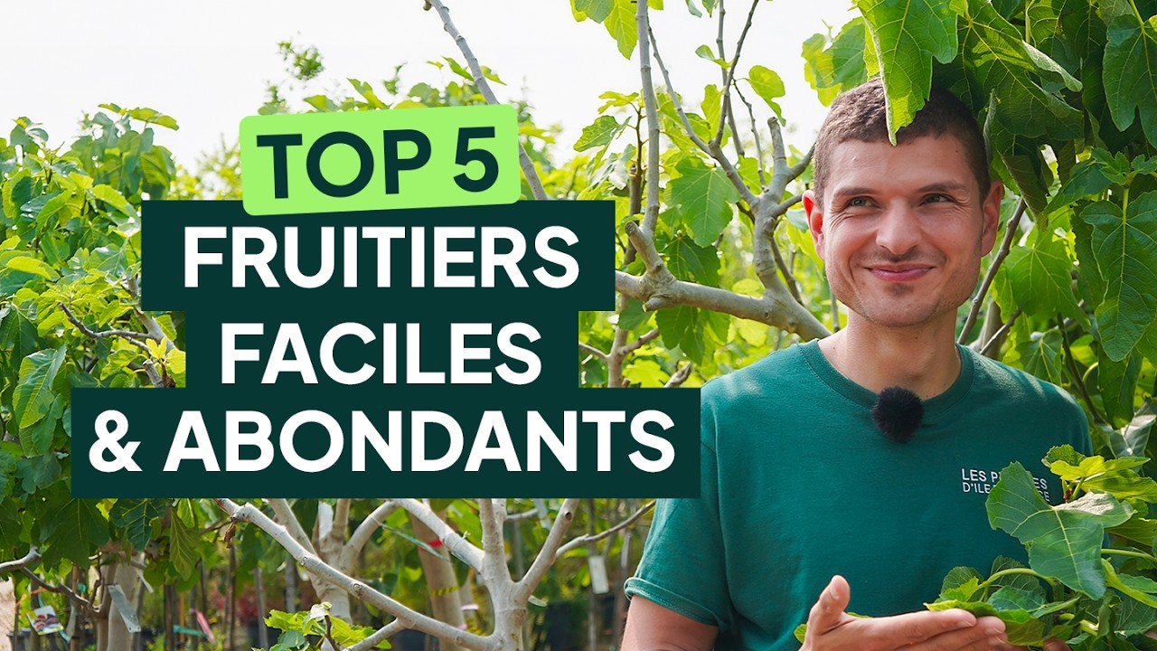 TOP 5 Des fruitiers faciles avec RÉCOLTE ASSURÉE