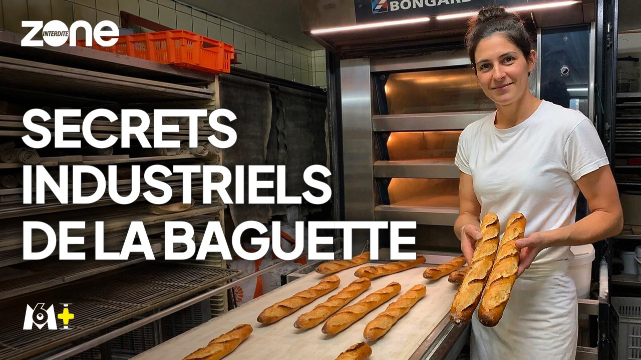 ENQUÊTE : La VÉRITÉ sur le PAIN que vous mangez - ZONE INTERDITE - M6+ MAG