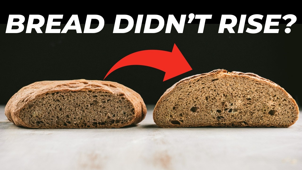 5 Reasons Your Bread Didn’t Rise (And How to Fix Each One)