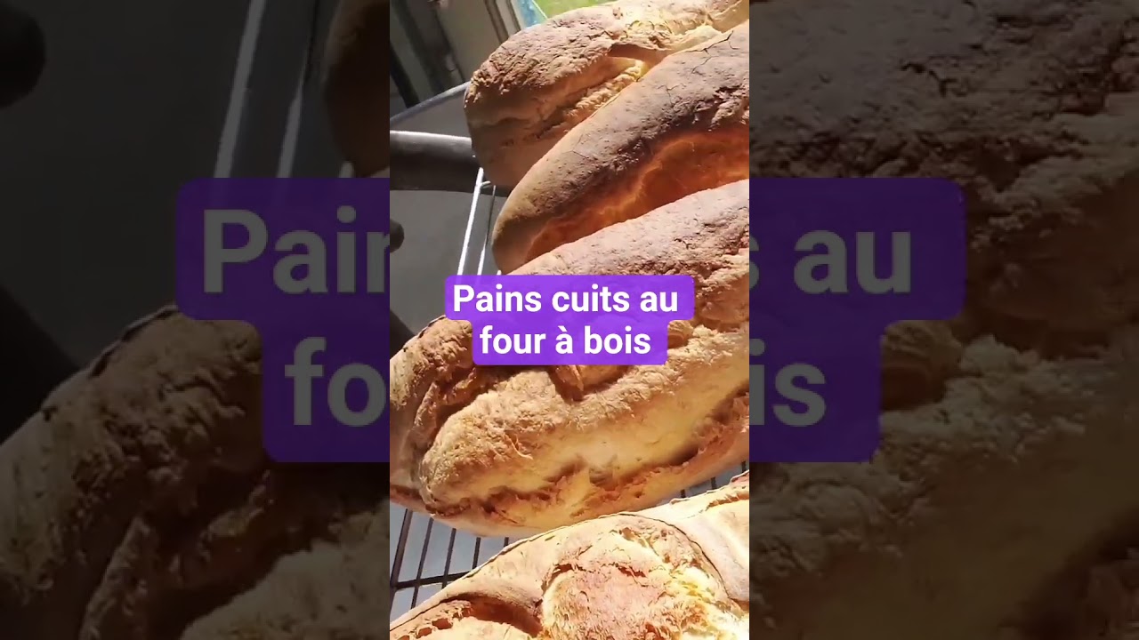 résultat pain cuit au four à bois