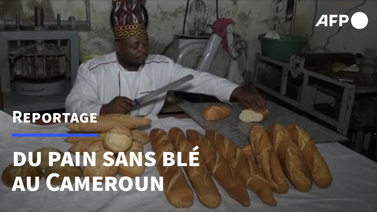 Cameroun : du pain sans blé, le pari gagnant d'un boulanger de Yaoundé | AFP